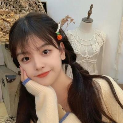 尼姆计划